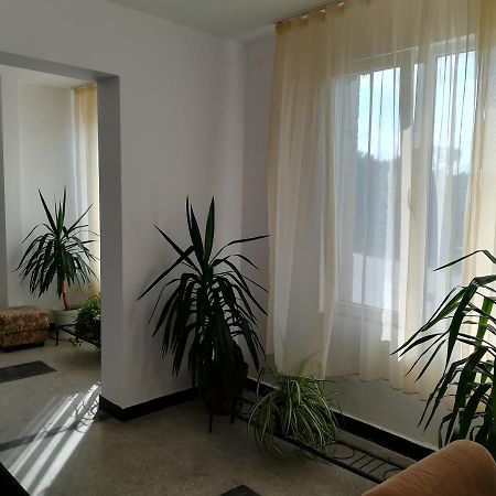 Hostel Shabla Extérieur photo
